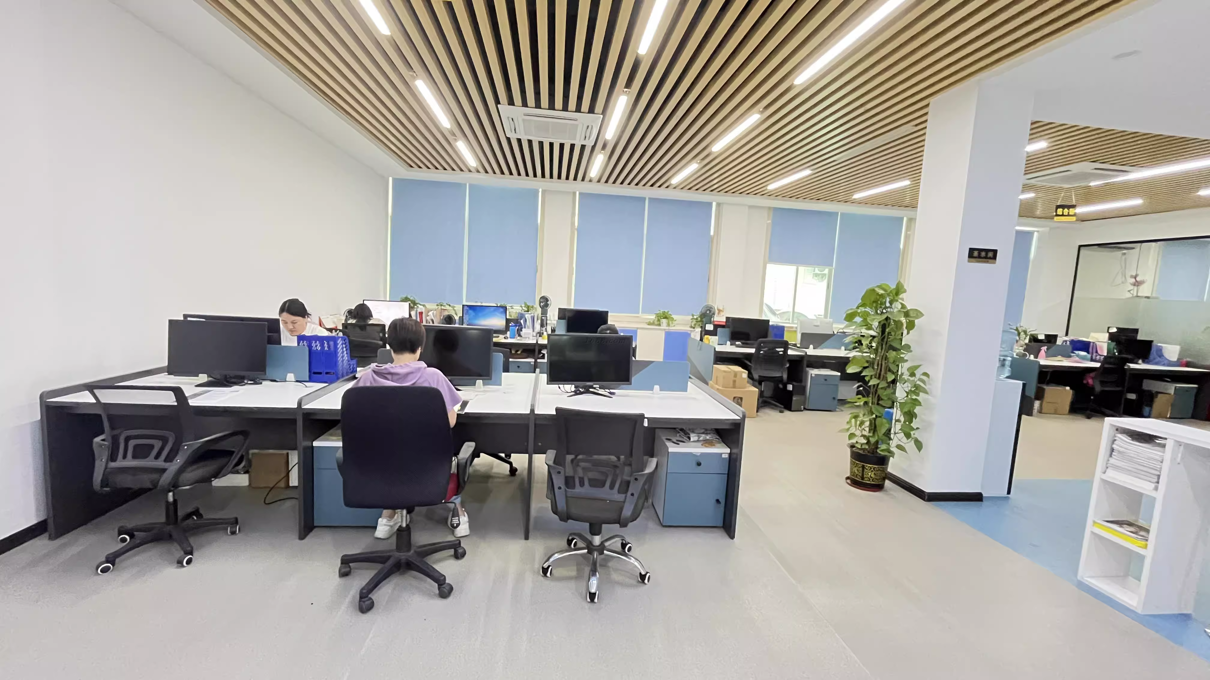 Company Office Environment